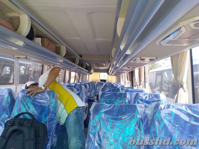 Interior Bus Shd White Horse