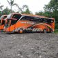 Nomor Telepon Bus Pariwisata Kurnia Trans Jaya