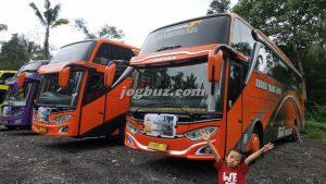 Sewa Bus Pariwisata Shd Jetbus 3+ Kurnia Trans Jaya