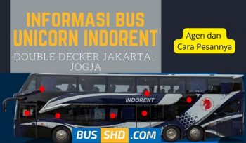 Bus Indorent Double Decker
